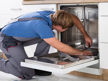 Ariston Dishwasher Repair